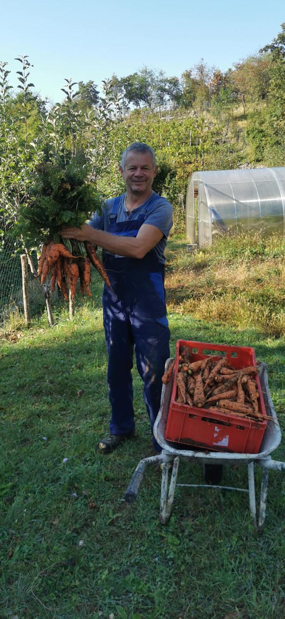 Bora Moscenicka Draga Nocleg ze śniadaniem 4*